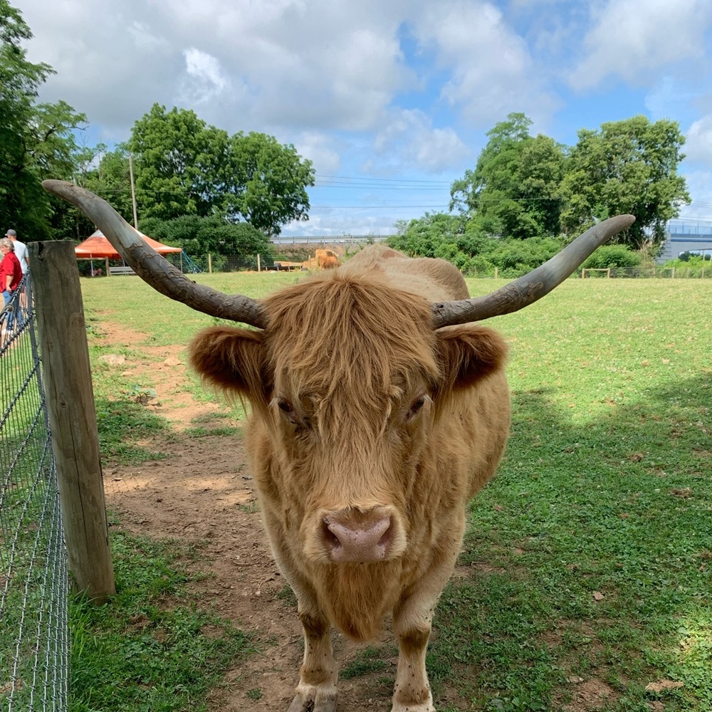 Meet your Posher, Patrick